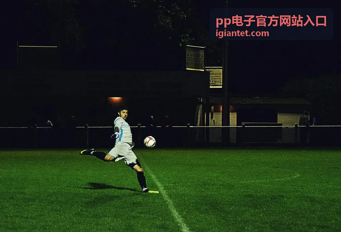 pp电子官方网站入口每日签到福利说明图